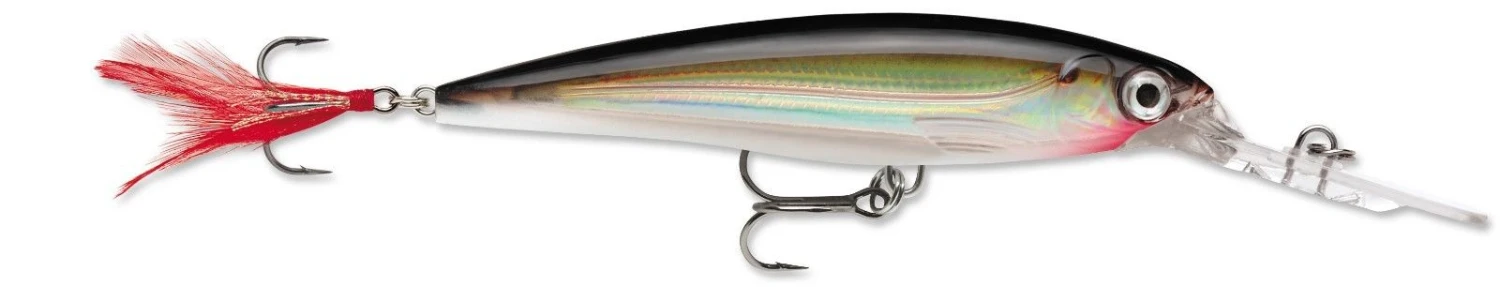 Rapala X-Rap Deep 10 Deep Diving Jerkbait 6 Rapala X-Rap Deep 10 Deep Diving Jerkbait - Image 6