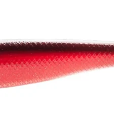 Z-Man SwimmerZ 4 Inch Paddle Tail Swimbait 4 Pack -Daiwa || Z-Man || Shimano Sales Store 14480421486647