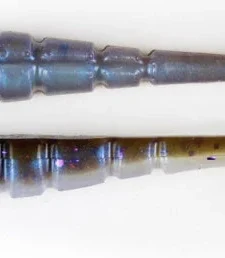 Xzone Pro Series Swammer Paddle Tail Swimbait -Daiwa || Z-Man || Shimano Sales Store 309 b6a0a3da 9f8a 4da3 9a72 cf9744d58c86