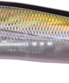 Megabass Ito Vision 110 Max LBO Jerkbait 22 Megabass Ito Vision 110 Max LBO Jerkbait -Daiwa || Z-Man || Shimano Sales Store 31840373309529