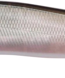 Megabass Ito Vision 110 Max LBO Jerkbait 25 Megabass Ito Vision 110 Max LBO Jerkbait -Daiwa || Z-Man || Shimano Sales Store 31840373407833