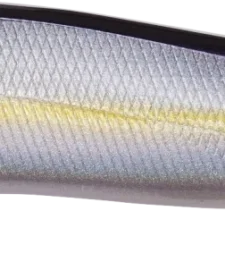 Megabass Ito Vision 110 Max LBO Jerkbait 26 Megabass Ito Vision 110 Max LBO Jerkbait -Daiwa || Z-Man || Shimano Sales Store 31840373440601