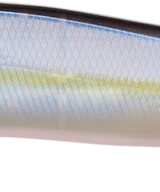 Megabass Ito Vision 110 Max LBO Jerkbait 28 Megabass Ito Vision 110 Max LBO Jerkbait -Daiwa || Z-Man || Shimano Sales Store 31840373506137