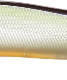 Megabass Ito Vision 110 Max LBO Jerkbait 29 Megabass Ito Vision 110 Max LBO Jerkbait -Daiwa || Z-Man || Shimano Sales Store 31840373538905