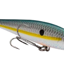 Strike King KVD 100 Series Suspending Shallow Jerkbait 25 Strike King KVD 100 Series Suspending Shallow Jerkbait -Daiwa || Z-Man || Shimano Sales Store 32272586506329