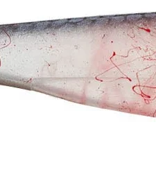 Big Bite Baits Suicide Shad 3 1/2 Inch Paddle Tail Swimbait 5 Pack -Daiwa || Z-Man || Shimano Sales Store 35SWTM 12