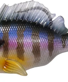 Megabass Sleeper Gill -Daiwa || Z-Man || Shimano Sales Store 40029827235929