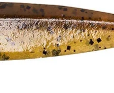 Keitech Easy Shiner 3.5 Inch Paddle Tail Swimbait 21 Keitech Easy Shiner 3.5 Inch Paddle Tail Swimbait -Daiwa || Z-Man || Shimano Sales Store 40081285808217