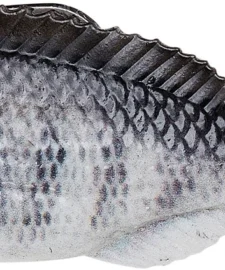 Savage Gear Structure Gill Swimbait 13 Savage Gear Structure Gill Swimbait -Daiwa || Z-Man || Shimano Sales Store 40090736525401