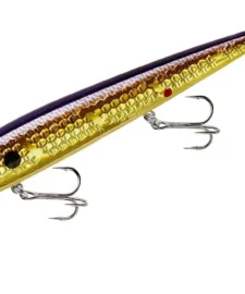 Smithwick Elite 8 Rogue 4 1/2 Inch Suspending Jerkbait 15 Smithwick Elite 8 Rogue 4 1/2 Inch Suspending Jerkbait -Daiwa || Z-Man || Shimano Sales Store ADR4213