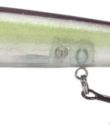 Smithwick Elite 8 Rogue 4 1/2 Inch Suspending Jerkbait 14 Smithwick Elite 8 Rogue 4 1/2 Inch Suspending Jerkbait -Daiwa || Z-Man || Shimano Sales Store ADR4282