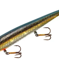 Smithwick Suspending Rattlin' Rogue 4 1/2 Inch Jerkbait/Trolling Minnow 12 Smithwick Suspending Rattlin' Rogue 4 1/2 Inch Jerkbait/Trolling Minnow -Daiwa || Z-Man || Shimano Sales Store ASDRB12273