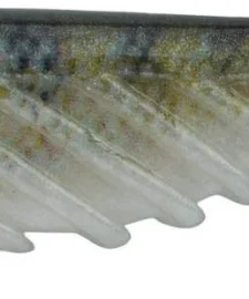 Berkley PowerBait 3 Inch Ripple Shad Soft Paddle Tail Swimbait 10 Pack -Daiwa || Z-Man || Shimano Sales Store Berkley PowerBaitRippleShad HDBluegill alt2 2000