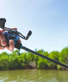 Daiwa Coastal TWS 80 Baitcasting Reel -Daiwa || Z-Man || Shimano Sales Store Coastal1Spot