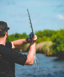 Daiwa Coastal TWS 80 Baitcasting Reel -Daiwa || Z-Man || Shimano Sales Store Coastal3Spot 1000x 0c4b945a 6118 49ae 9c94 d5c0bdd13af5