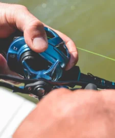 Daiwa Coastal TWS 80 Baitcasting Reel -Daiwa || Z-Man || Shimano Sales Store Coastal4Spot