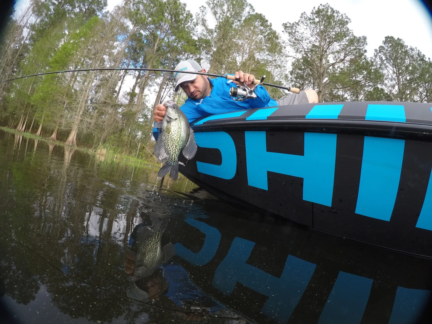 Shimano Stella FJ Spinning Reels 7 Shimano Stella FJ Spinning Reels - Image 7