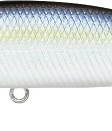 Lucky Craft Lighting Pointer 98XR Jerkbait -Daiwa || Z-Man || Shimano Sales Store LTPT98XR 183PTHFSD