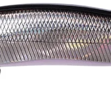 Megabass Ito Vision 110 + 1 Jerkbait 23 Megabass Ito Vision 110 + 1 Jerkbait -Daiwa || Z-Man || Shimano Sales Store MB 0150039100