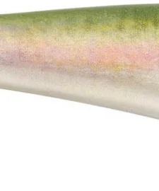 Berkley PowerBait Hollow Belly Paddle Tail Swimbait -Daiwa || Z-Man || Shimano Sales Store PowerBait Hollow Belly HD Rainbow Trout alt1 2000