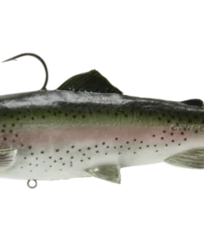 Savage Gear 3D Real Trout Swimbait Soft Body Swimbait 16 Savage Gear 3D Real Trout Swimbait Soft Body Swimbait -Daiwa || Z-Man || Shimano Sales Store RealTrout lightTrout a04a7b03 0315 42e1 909b 5f1b65a58800