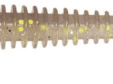 Keitech Swing Impact 3 Inch Paddle Tail Swimbait