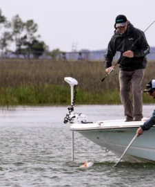 Shimano Stella FJ Spinning Reels 15 Shimano Stella FJ Spinning Reels -Daiwa || Z-Man || Shimano Sales Store Stella Redfish 1 scaled