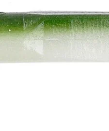 Gary Yamamoto Swim Senko 5 Inch Paddle Tail Worm 10 Pack 35 Gary Yamamoto Swim Senko 5 Inch Paddle Tail Worm 10 Pack -Daiwa || Z-Man || Shimano Sales Store YAM 31 10 901