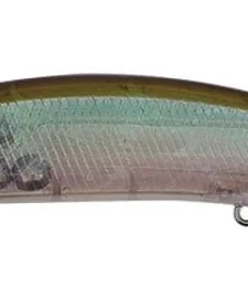 Duo Realis Jerkbait 110SP Suspending 23 Duo Realis Jerkbait 110SP Suspending -Daiwa || Z-Man || Shimano Sales Store ghost minnow e596a8b8 bbdf 48d4 a178 01d0d5fe7812