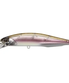Duo Realis Jerkbait 100SP Suspending 23 Duo Realis Jerkbait 100SP Suspending -Daiwa || Z-Man || Shimano Sales Store komochi wakasagi 3e801981 0f9d 4100 85a6 a8c159651b8e