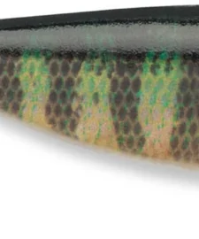 Storm Largo Shad Paddle Tail Swimbait