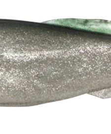 Megabass Magdraft 8 Inch Soft Swimbait