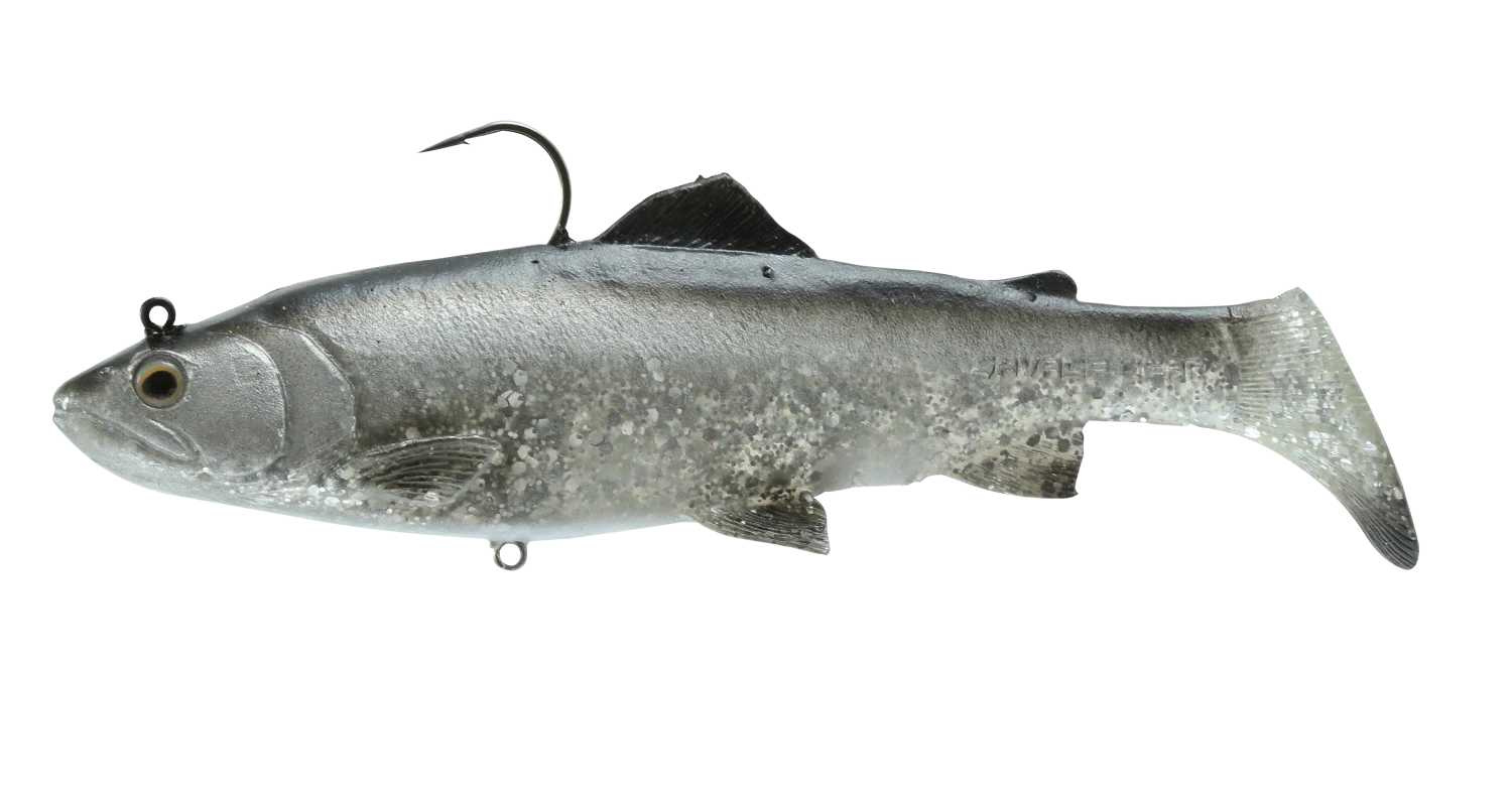 Savage Gear 3D Real Trout Swimbait Soft Body Swimbait 5 Savage Gear 3D Real Trout Swimbait Soft Body Swimbait - Image 5
