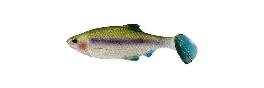 Westin Ricky The Roach 2 3/4 Inch Soft Paddle Tail Swimbait 5 Pack 2 Westin Ricky The Roach 2 3/4 Inch Soft Paddle Tail Swimbait 5 Pack - Image 2