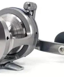 Daiwa Saltiga Star Drag 20/30/35/40/50 Conventional Reels -Daiwa || Z-Man || Shimano Sales Store saltigastar1 600x600 jpg