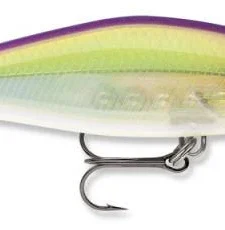 Rapala Shadow Rap Shad Deep 09 Jerkbait 31 Rapala Shadow Rap Shad Deep 09 Jerkbait -Daiwa || Z-Man || Shimano Sales Store sdrsd09gon Gone 6f4d3b15 5bbc 4adf ae4e 8d9b050d8b2c