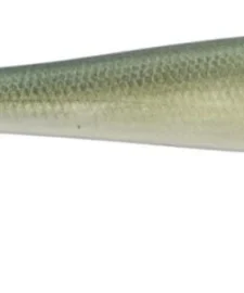 Strike King Shadalicious 5 1/2 Inch Paddle Tail Swimbait -Daiwa || Z-Man || Shimano Sales Store strike king shadalicious 568 Green Gizzard 28d88819 d1a8 47a4 86ff 7d9e6d3cb1af