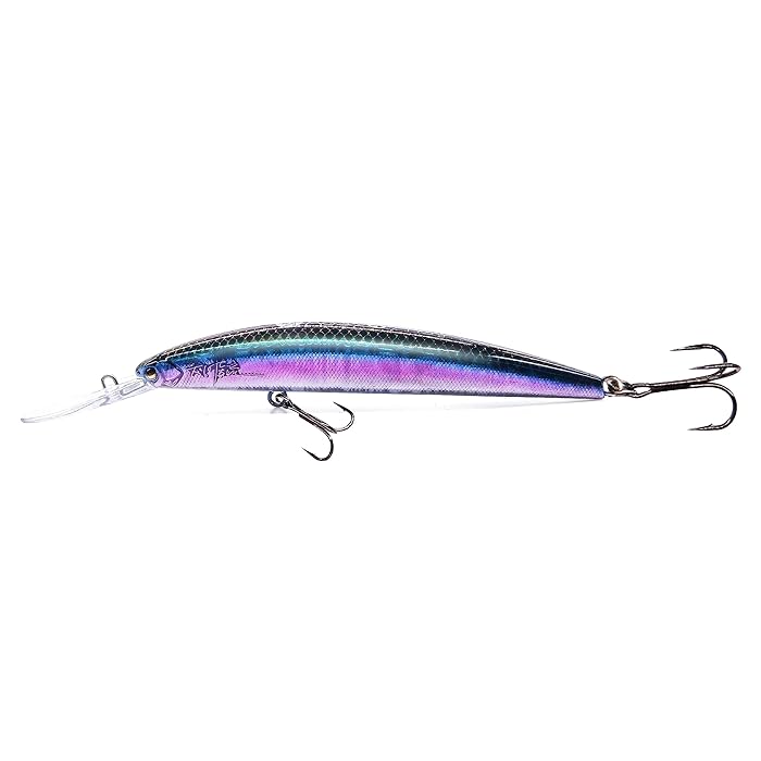 Daiwa || Z-Man || Shimano Sales Store -Daiwa || Z-Man || Shimano Sales Store 71JP2YfjZTL.SS700 1